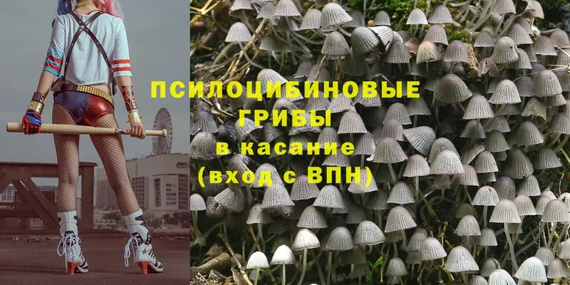 Галлюциногенные грибы Magic Shrooms  хочу наркоту  shop клад  Буинск 